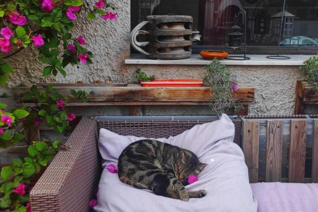 Kaleidos Guest House Palermo Dış mekan fotoğraf